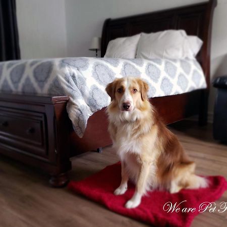 Mountain View Motel & Cottages 플레전트 베이 외부 사진